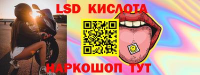 шишки Лесосибирск