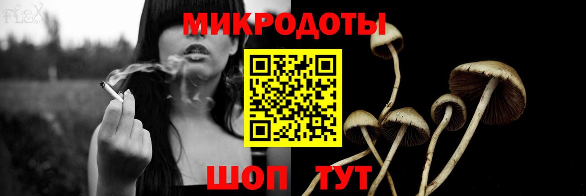 Псилоцибиновые грибы прущие грибы Зима